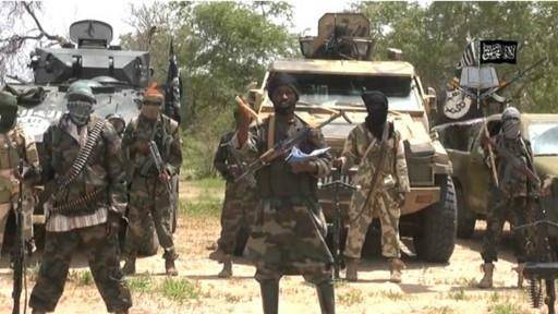 ارتش چاد ۸۷ روستایی نیجریه ای را از چنگال 'بوکو حرام' آزاد کرد