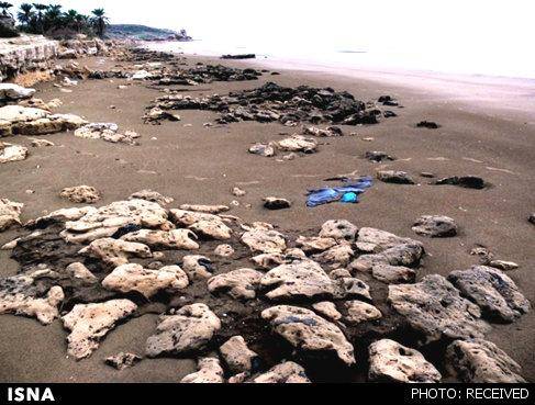 مشاهده رد پاهای مرموز در ساحل بوشهر(به همراه تصاویر)
