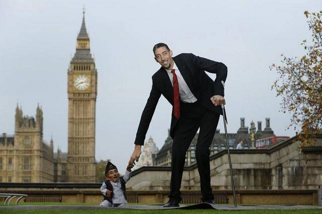 بلندترین و کوتاه‌ترین مردان جهان (عکس)