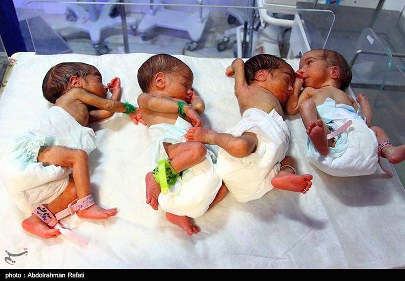 تولد چهارقلوها در همدان/تصاویر