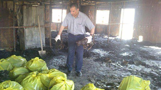 آتش سوزی مرکز درمان حیوانات دراشتهارد یک نفر و 200 گربه کشته بر جای گذاشت
