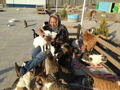 زن حامی حیوانات به همراه ۲۰۰ گربه قربانی آتش‌سوزی شد + تصویر