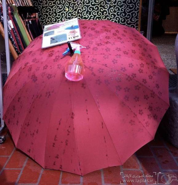 تصاویر:چتری که زیر باران شکوفه می کند!