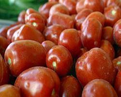 گوجه فرنگی از 10 روز دیگر ارزان می‌شود