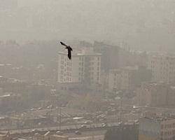 آلودگی اخیر هوای تهران، مشکوک است؟
