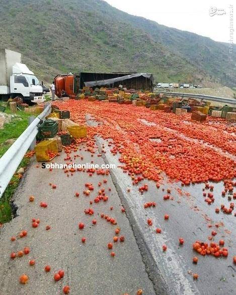 عکس: واژگونی کامیون‌ حمل گوجه در کازرون
