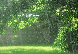 باد و باران در مناطق وسیعی از کشور