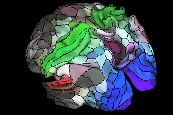 کشف ۱۰۰ ناحیه جدید در مغز