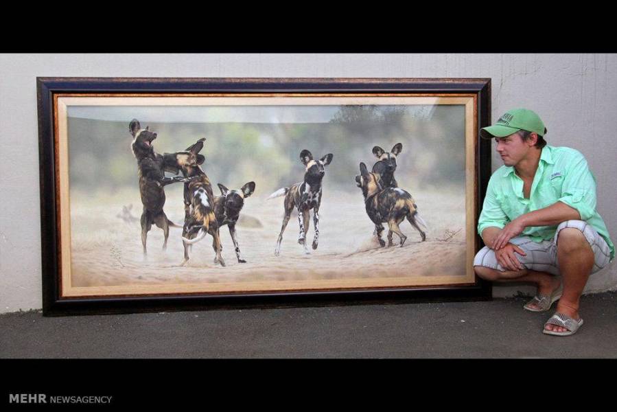 عکس/ نقاشی های فوق العاده از حیوانات&lrm;