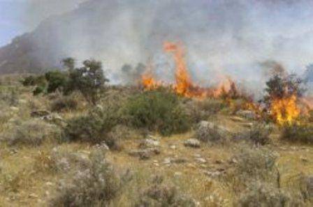 آتش سوزی در مراتع گردنه قوچک لواسان/ 6هکتار از گونه های مرتعی در آتش سوخت