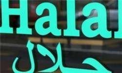 تدوین ضوابط غذای «حلال» برای تمام کشورهای مسلمان منفعت‌آور است