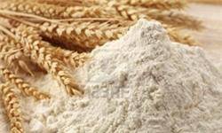 ضایعات نان ایران در سال 2 میلیون تن است/ نان سنتی 95 درصد مصرف کشور