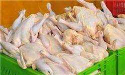 هر آنچه در مورد مصرف گوشت مرغ باید بدانید