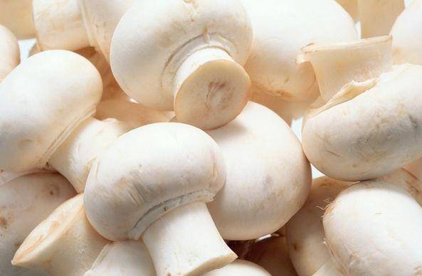 مصرف قارچ های پرورشی خطر ندارد