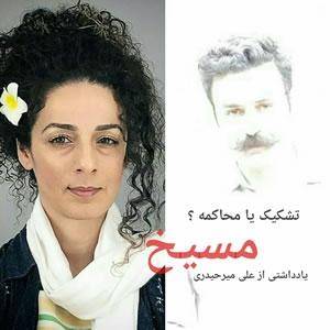 آنگونه که شواهد گواهی می دهد شاهین نجفی که زوایای تندی با نظام سرمایه داری دارد در مقابل جریانی گارد گرفته است که به گفته ی خودش به دنبال تقلیل مفهوم آزادی به مسائل سطحی و تسلط نظام کاپیتالیستی بر جامعه ی ایران است؛ اما نوع فعالیت های علینژاد گواه بر چیز دیگری می دهد ما هیچگاه محدود سازی فعالیت های او را به مسئله ی حجاب و حقوق زنان نمی بینیم؛ او از راس حاکمیت تا طیف های تندروی زیردست را مورد آماج حملات قرار می دهد