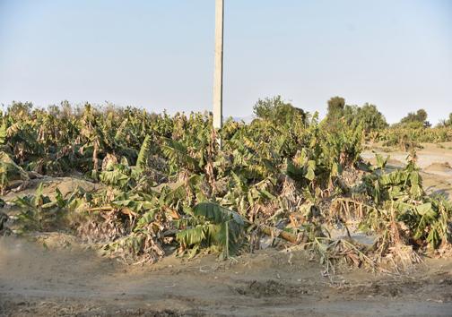 خسارت اولیه سیل در سیستان و بلوچستان به بیش‌ از ۲.۸ هزار میلیارد تومان رسید