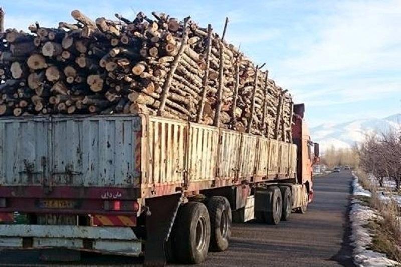 کشف محموله قاچاق چوب در ملایر