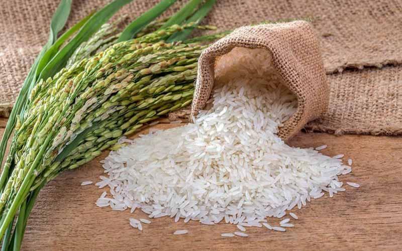 اختلاط قیمت برنج داخلی و خارجی بی انصافی است/نیازی به واردات برنج برای شب عید نداریم