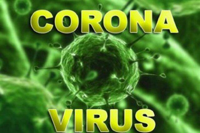 سی ان ان: ابتلای ۶۰ آمریکایی به ویروس کرونا/ هشدار درباره گسترش ویروس در ایالات متحده