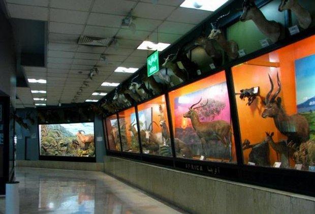 موزه تنوع زیستی پارک طبیعت پردیسان تعطیل شد