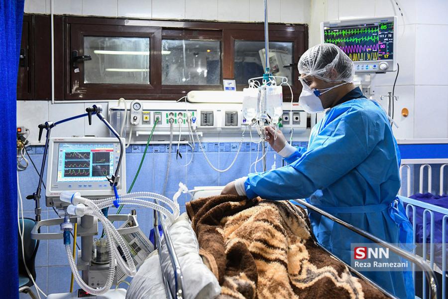 ۴۶ نفر در بوشهر به کرونا ویروس مبتلا هستند