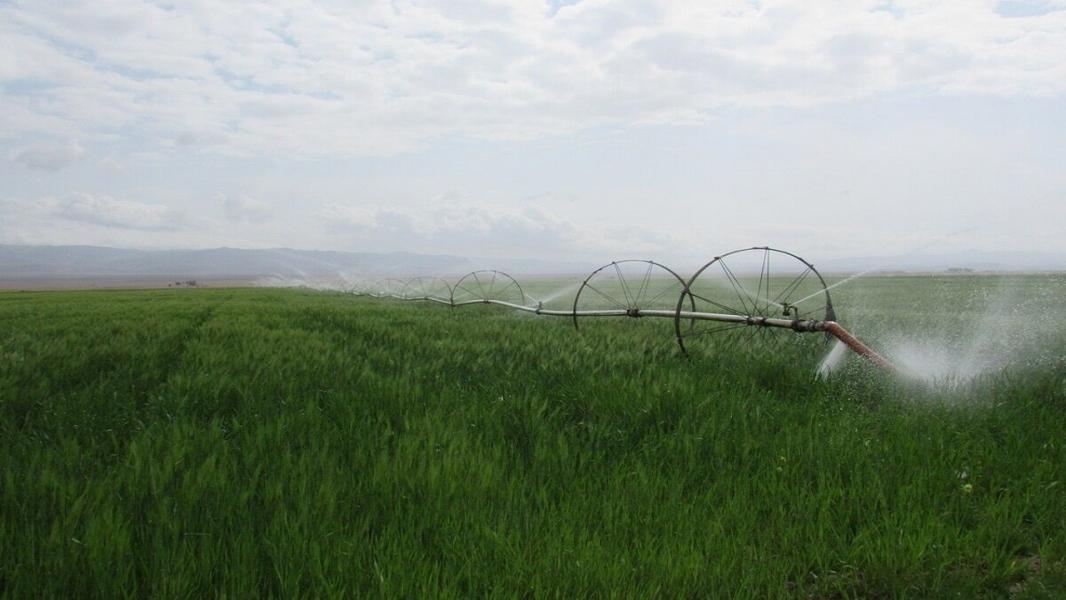 صرفه جویی ۲۰ درصدی مصرف آب در خراسان جنوبی