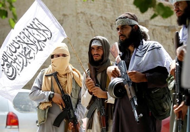دیلی بیست: ۲۰۱۹ سال خیلی خوب "طالبان"؛ آمار حاکی از ناکامی آمریکا است