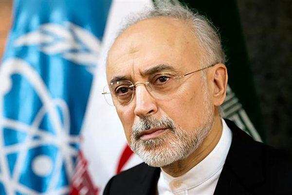 تهدید رئیس سازمان انرژی اتمی: ایران می‌تواند در اجرای پروتکل الحاقی و ان‌پی‌تی بازنگری کند
