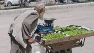 سرزدن والی قندهار به پیرمرد سبزی فروش که تصویرش خبرساز شد