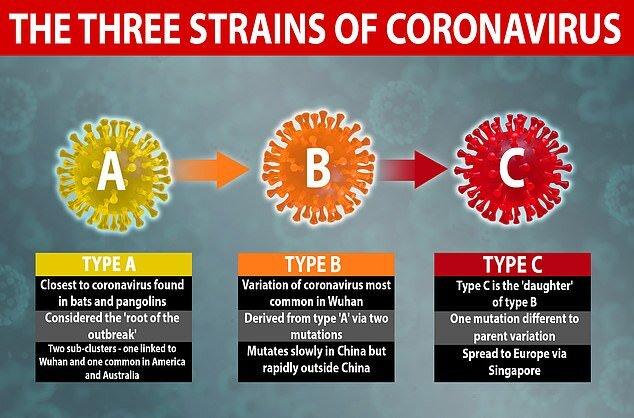 شناسایی ۳ گونه  مختلف ویروس کرونا توسط محققان دانشگاه کمبریج 