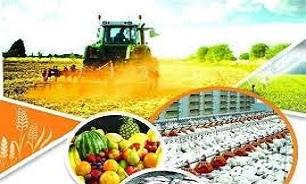 راهبرد‌های وزارت جهاد کشاورزی برای جهش تولید اعلام شد