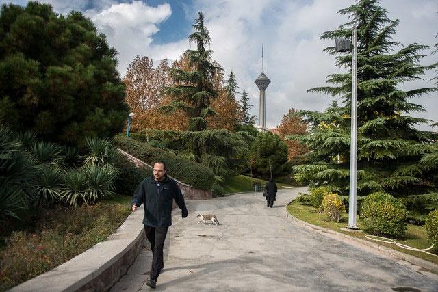 هوای تهران در ۱۵ اردیبهشت قابل قبول شد