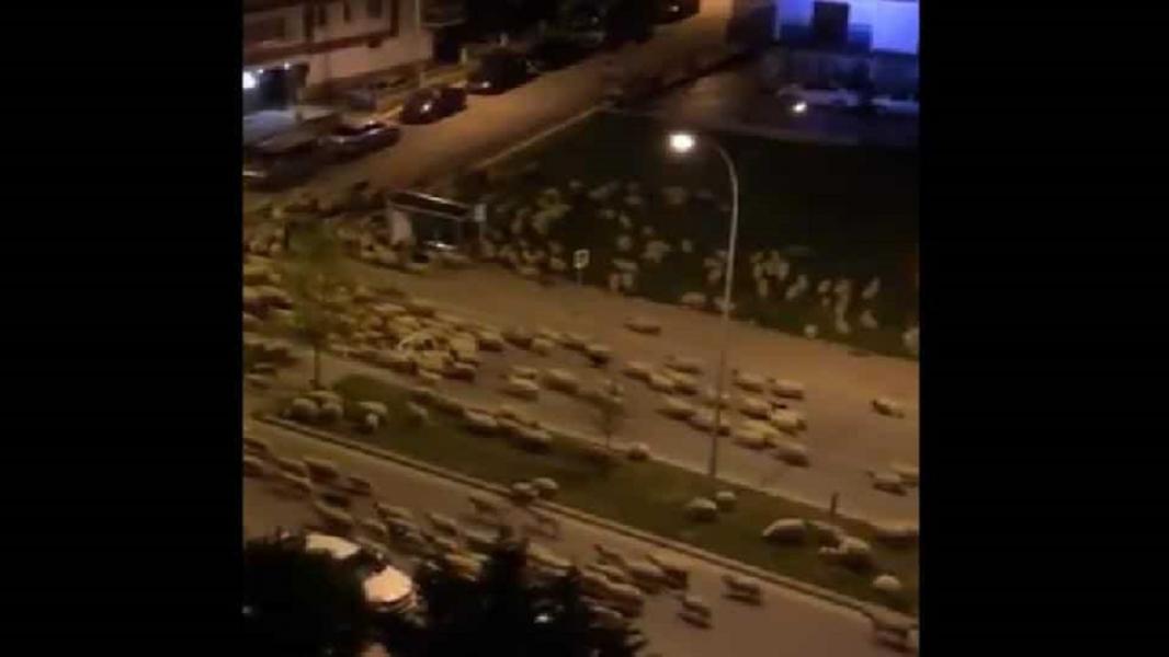 هجوم شبانه مهمانان ناخوانده به شهری در ترکیه!
