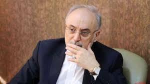 صالحی درگذشت برادر وزیر امور اقتصادی و دارایی را تسلیت گفت