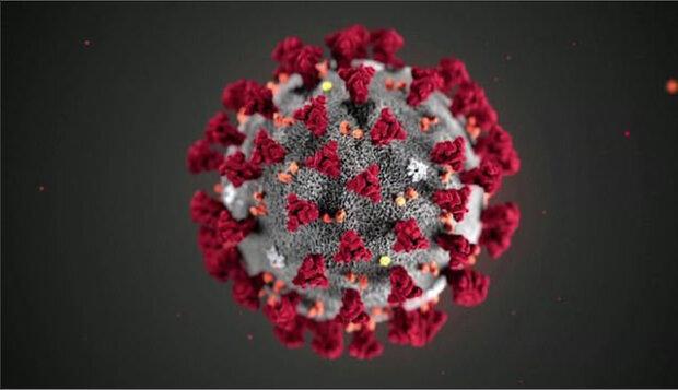 جدیدترین راه انتقال ویروس کرونا را بشناسید
