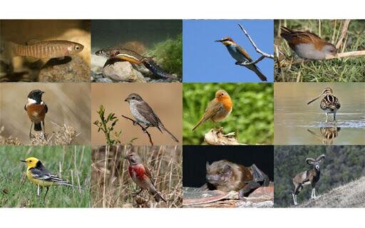 گزارش واشنگتن پست از دلیل پیدایش کرونا و شیوع آن در دنیا