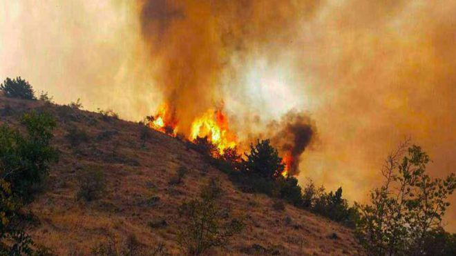 دستور مدعی‌العموم برای شناسایی مناطق مستعد آتش سوزی جنگل‌های ارسباران
