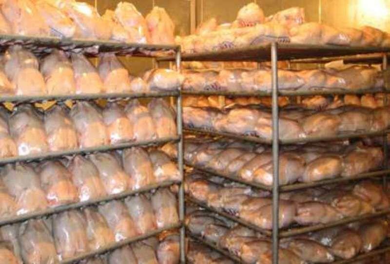 ۴۸۰ تن مرغ منجمد در چهارمحال و بختیاری ذخیره‌سازی شد