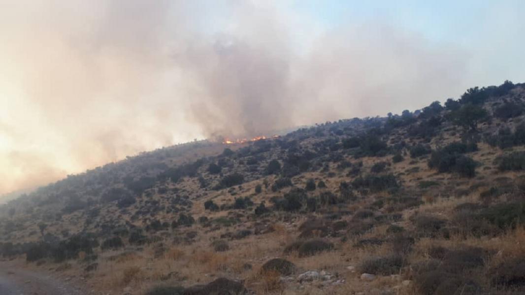 آتش این بار سر از کوه‌های بوشکان دشتستان در آورد