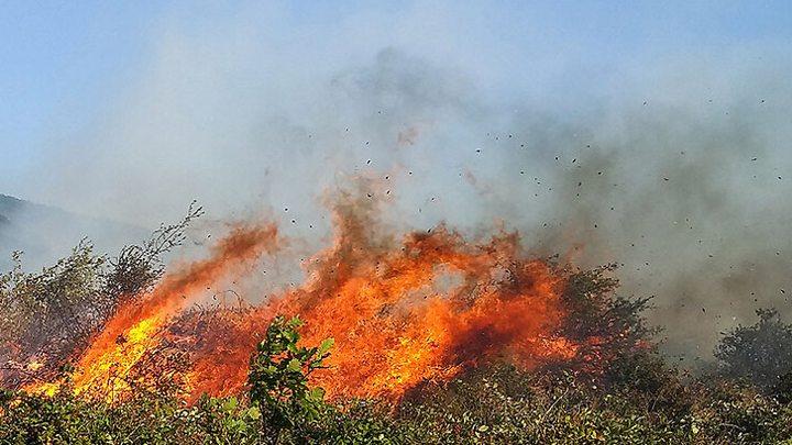 آتش‌سوزی‌ در جنگل‌های ایران؛ ادامه حریق در جنوب و هشدار آتش‌سوزی در شمال