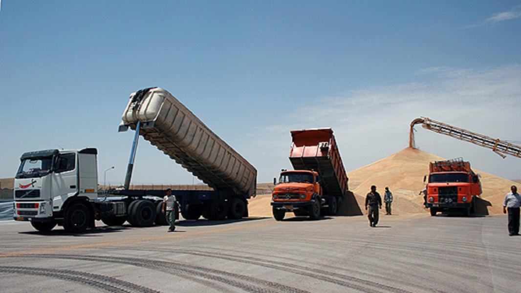 تولید ۱۲۰ تن گندم در مهدی‌شهر پیش‌بینی می‌شود