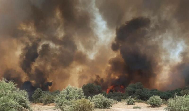 آتش‌سوزی در ارتفاعات کوه پهن فارس پس از ۷۲ ساعت مهار شد