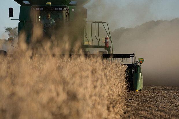 چین واردات برخی از محصولات کشاورزی آمریکا را متوقف کرد