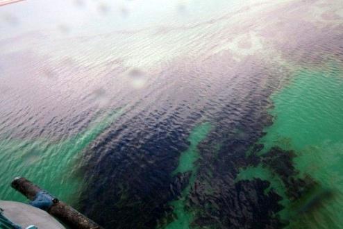 ماجرای کشف آلودگی نفتی در رودخانه کرج چه بود؟