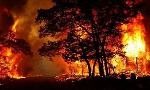 ضرورت وجود ایستگاه‌های ثابت آتش نشانی در اطفای حریق جنگل‌های ملی