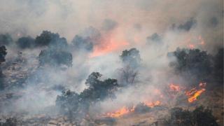 حریق‌های پراکنده مراتع و جنگل‌های ایران را می‌سوزاند