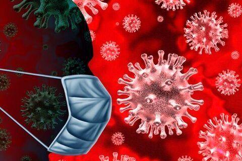 اصلی ترین منبع انتقال ویروس کرونا شناسایی شد!