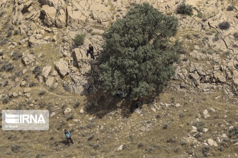 امام‌جمعه مهریز: حفاظت از محیط زیست نیاز به فرهنگ سازی دارد