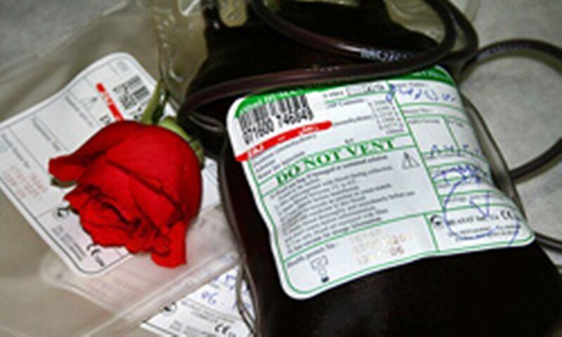 اهدای گل به اهداکنندگان خون در مشهد
