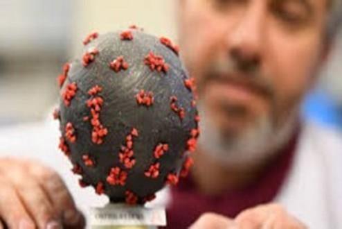 ابتلای ۴۰ نفر به کرونا در یک جشن عروسی